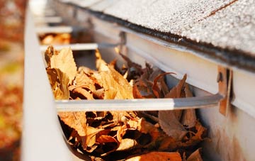 Seton Mains gutter cleaning companies