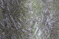 Seton Mains fibreglass roof work